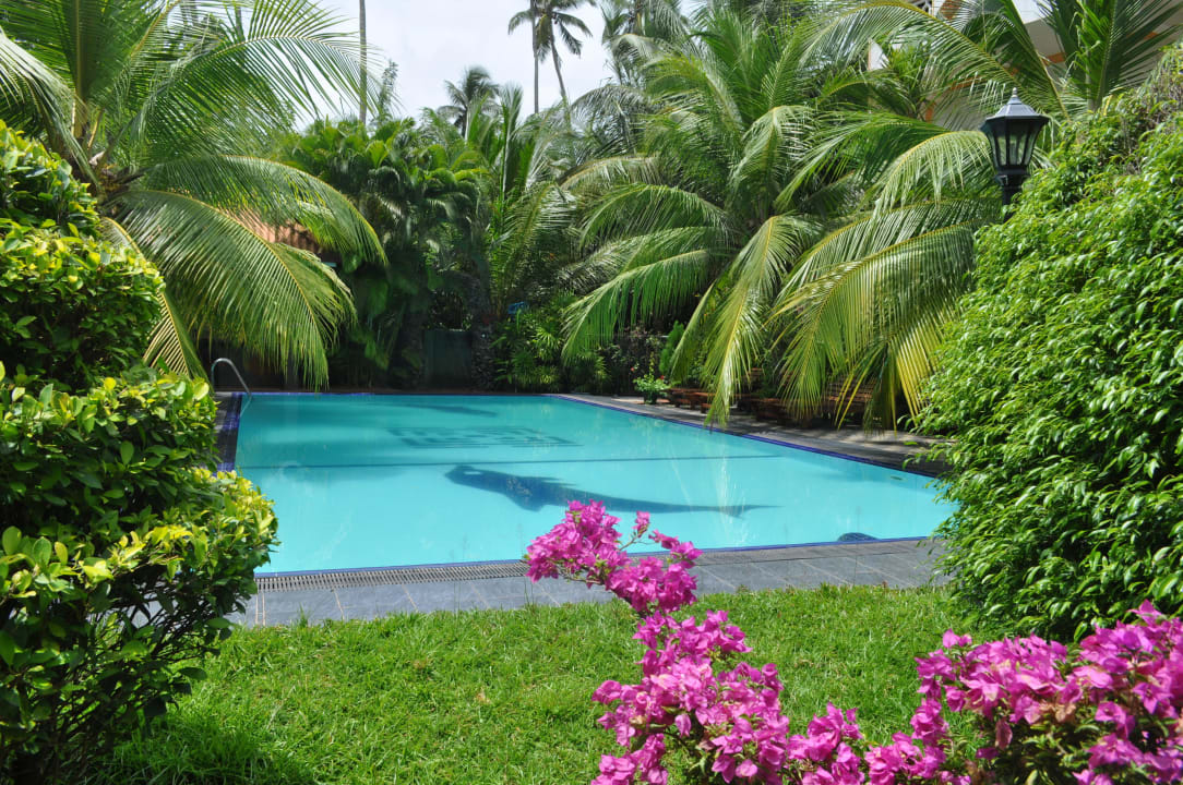 Sehr ruhiger gepflegter Pool und Gartenanlage Hotel Bentota Village