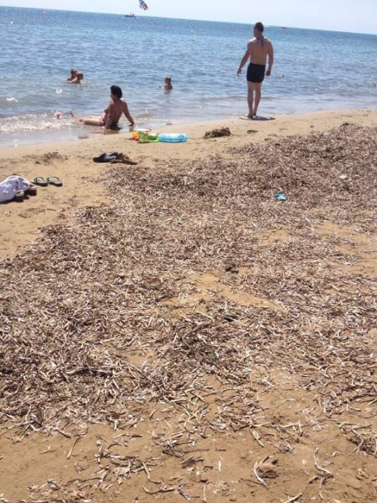 Strand voll Müll Seaden Corolla Hotel