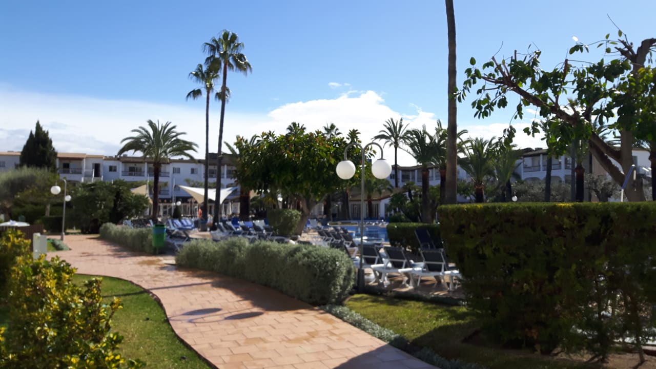 Ausblick Alcudia Garden Aparthotel