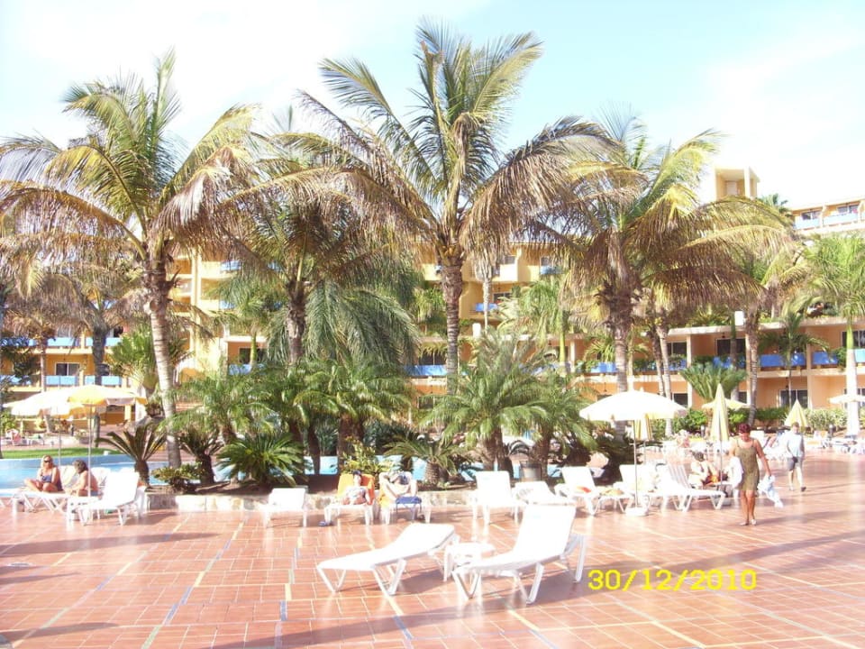 Palmen am Pool Club Hotel Drago Park