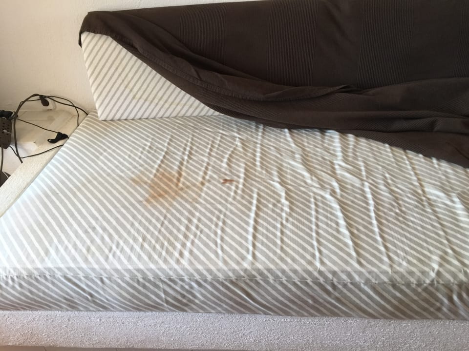 Zimmer Das Anwesen des Professors