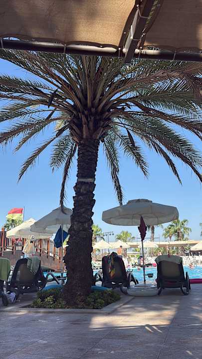 Pool Club Sidelya Hotel