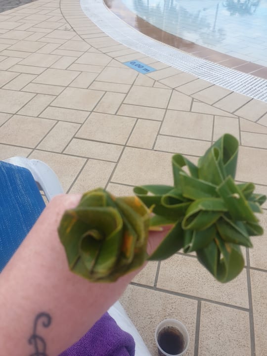 Sonstiges Paradisus Princesa del Mar Resort & Spa - Adults only