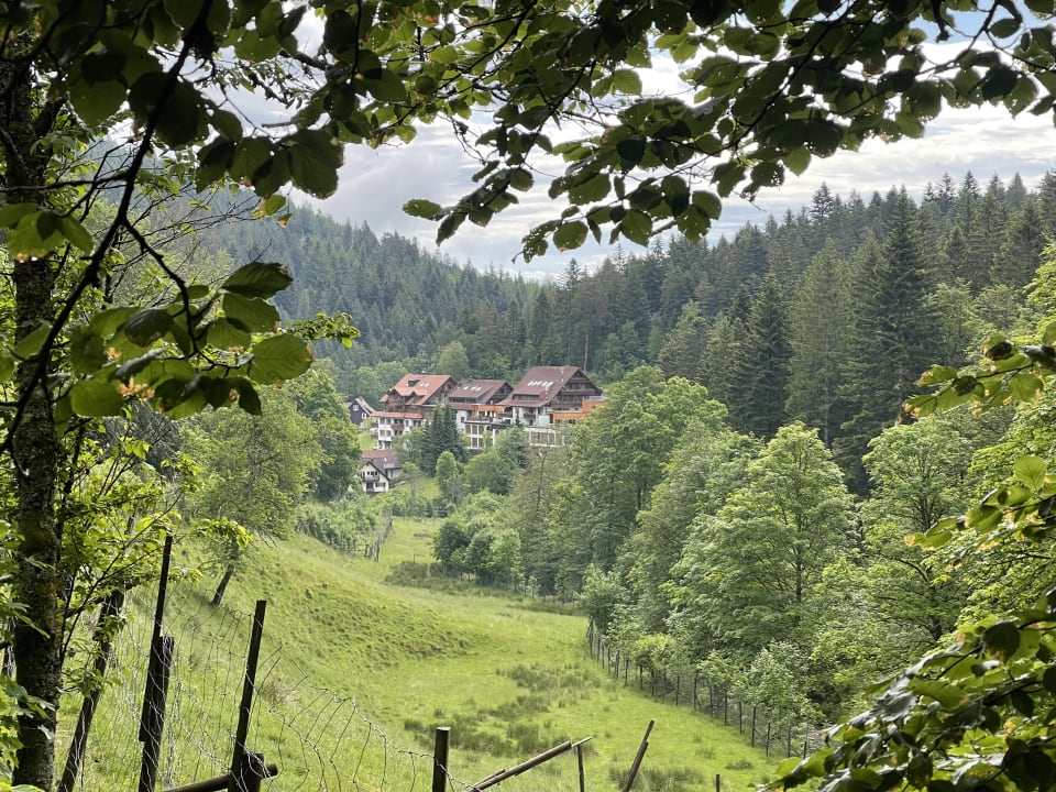Außenansicht Wellnesshotel Forsthaus Auerhahn