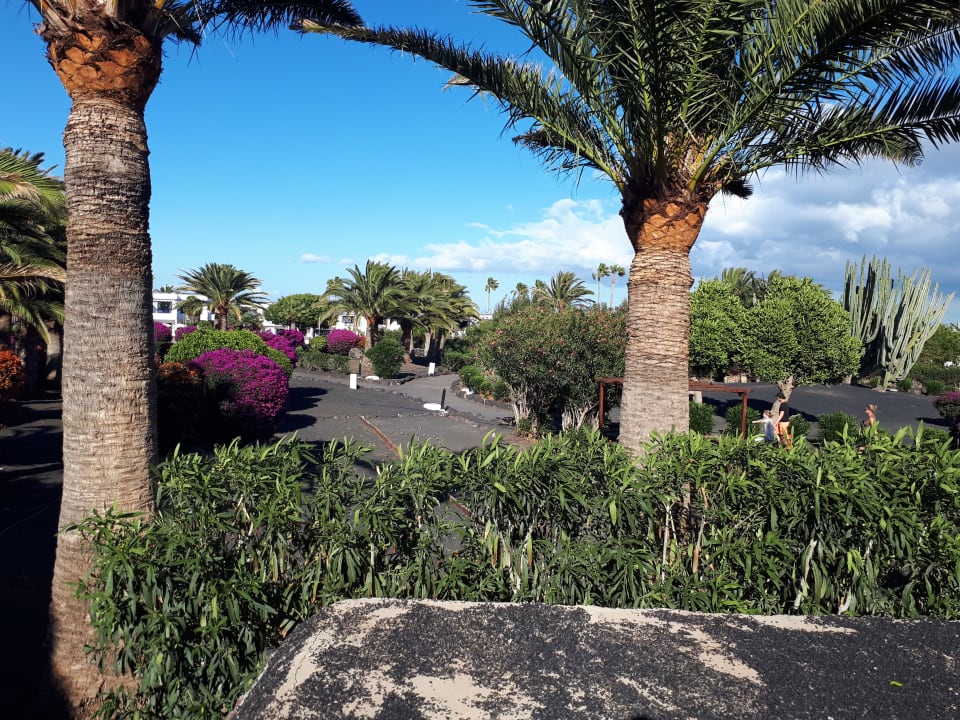 Gartenanlage Relaxia Olivina