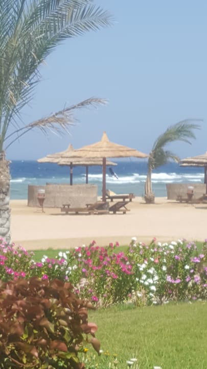 Strand Coral Sun Beach