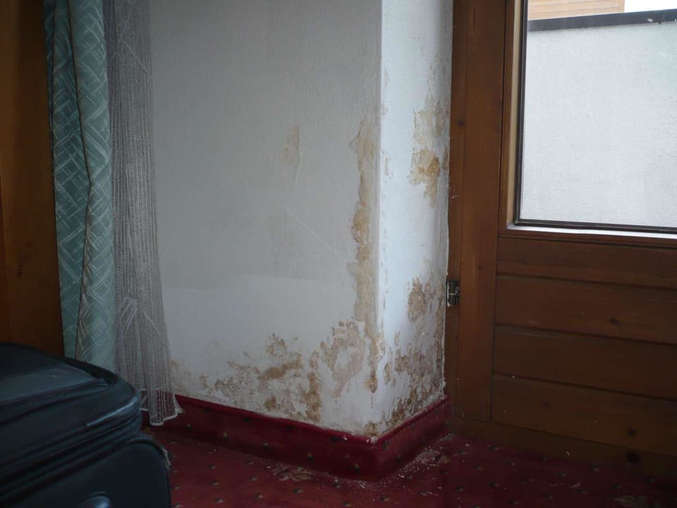 Feuchtigkeitsschaden Hotel zum Holzknecht am See