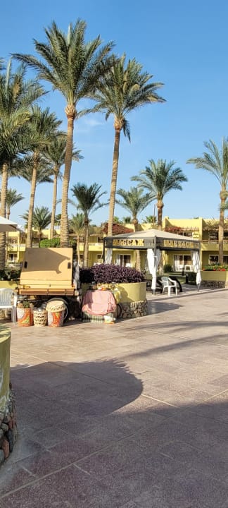 Gartenanlage Palm Beach Resort