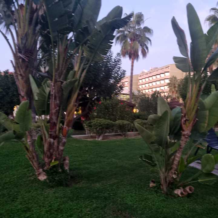 Gartenanlage VONRESORT Golden Coast