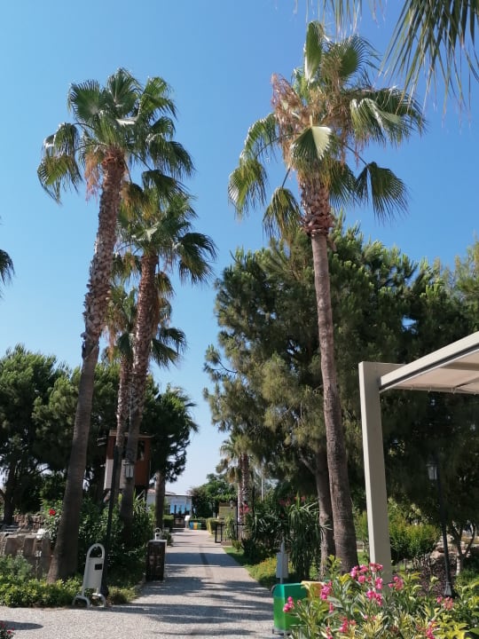 Gartenanlage Bella Resort & Spa