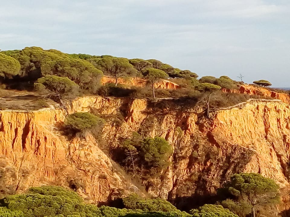 Ausblick PortoBay Falésia