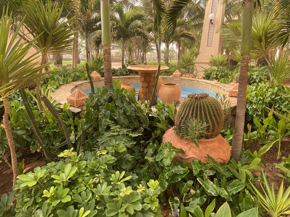 Gartenanlage Hotel Riu Touareg