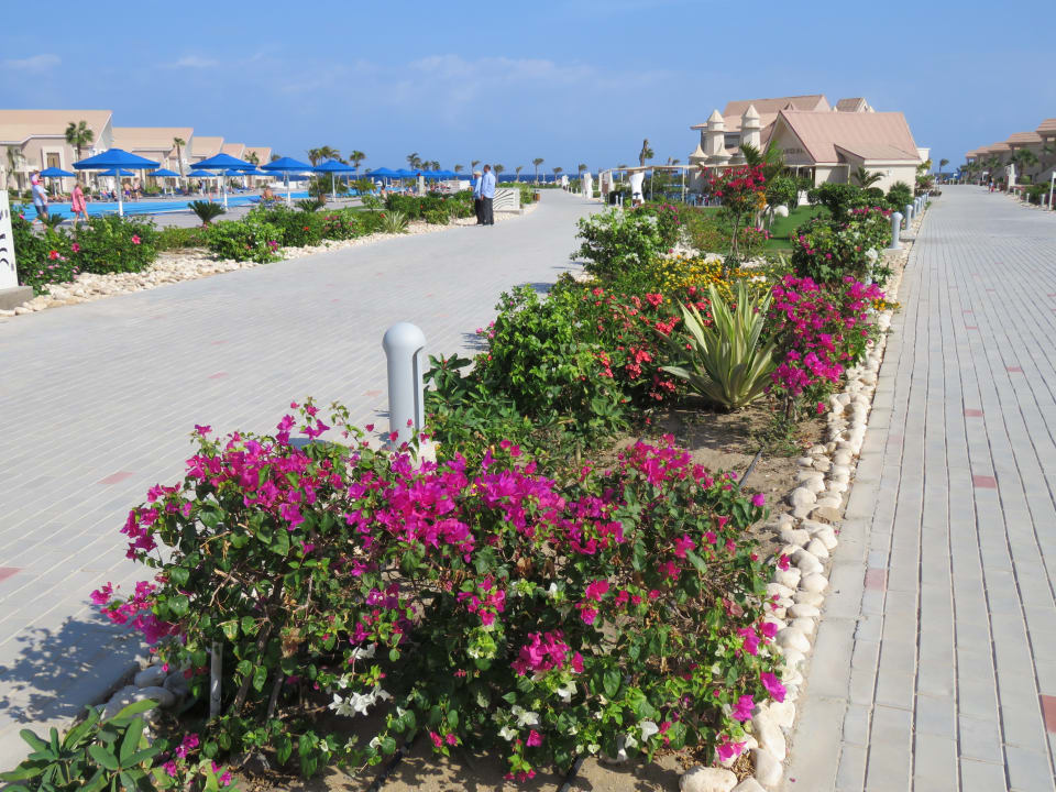 Gartenanlage Pickalbatros Sea World Resort - Marsa Alam