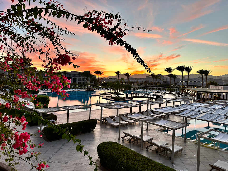 Pool Steigenberger Alcazar