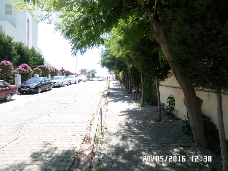 Weg zum Meer Side Aluna Hotel