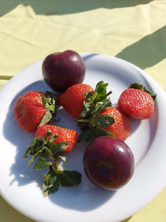 Gastro Heaven Beach Aparthotel