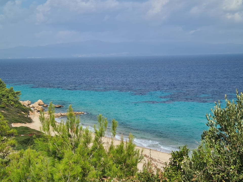 Ausblick Cora Hotel & Spa