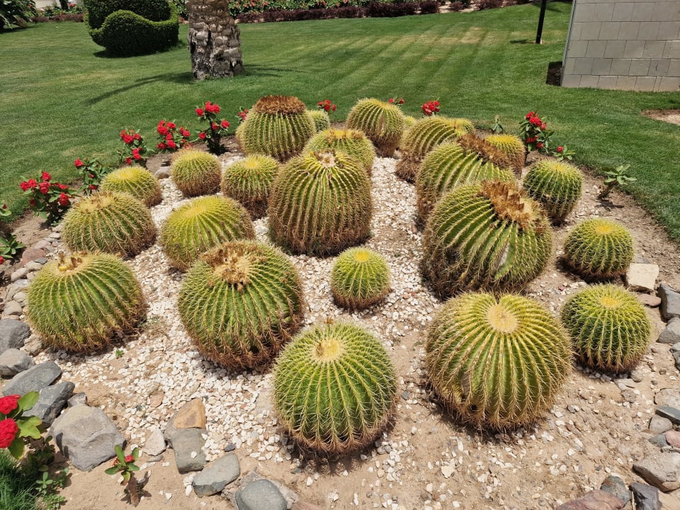 Gartenanlage Pickalbatros Dana Beach Resort - Hurghada