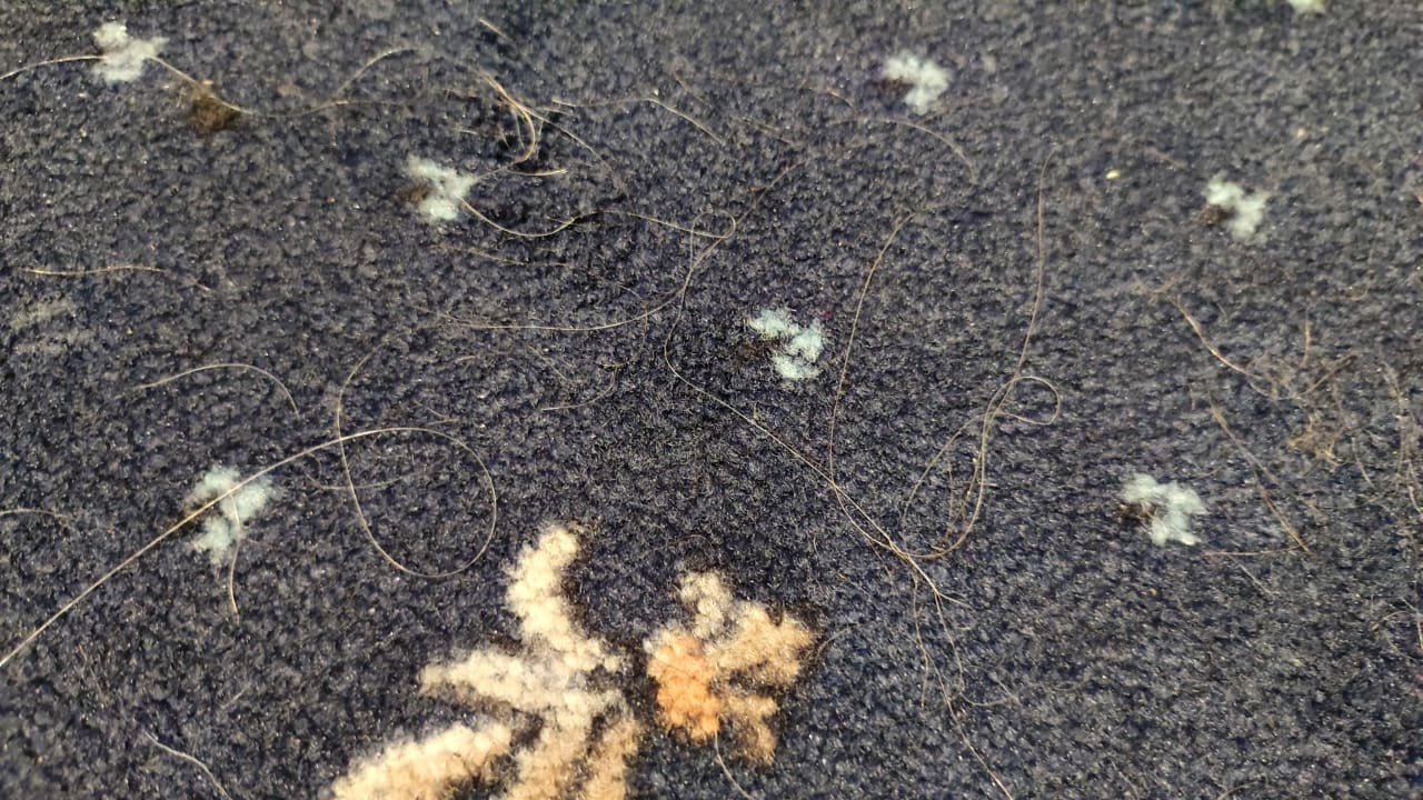 Zimmer STROBLHOF Active Family SPA Resort