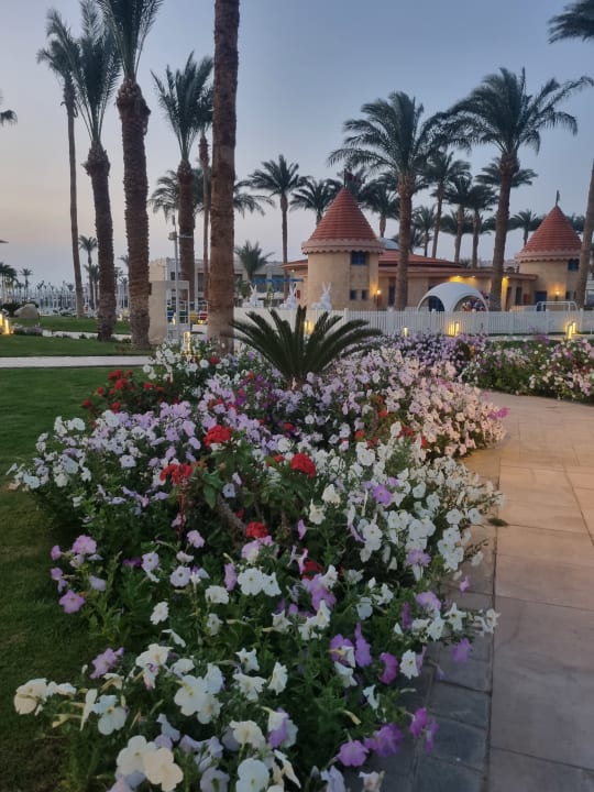 Gartenanlage Beach Albatros Resort