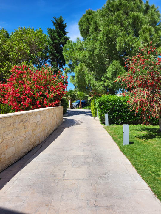 Gartenanlage Atlantica Aegean Blue