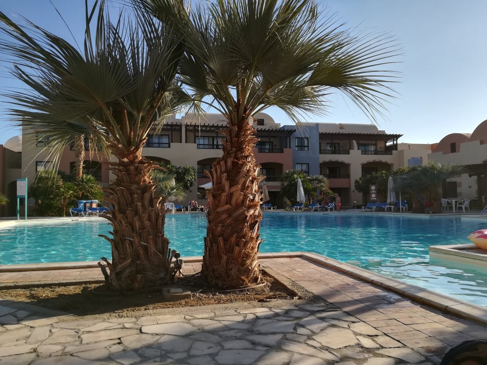 Pool Marina Resort Port Ghalib, a member of Radisson Individuals