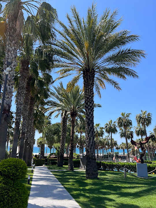 Gartenanlage Hotel Miramare Beach
