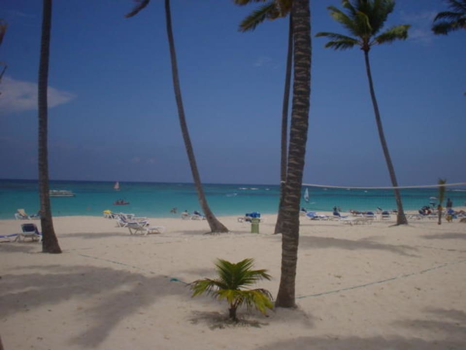 Der Strand von RIU Palace Macao 5 Sterne Hotel Riu Palace Macao - Adults only