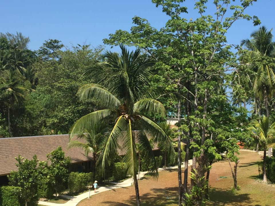 Blick vom Balkon Outrigger Khao Lak Beach Resort