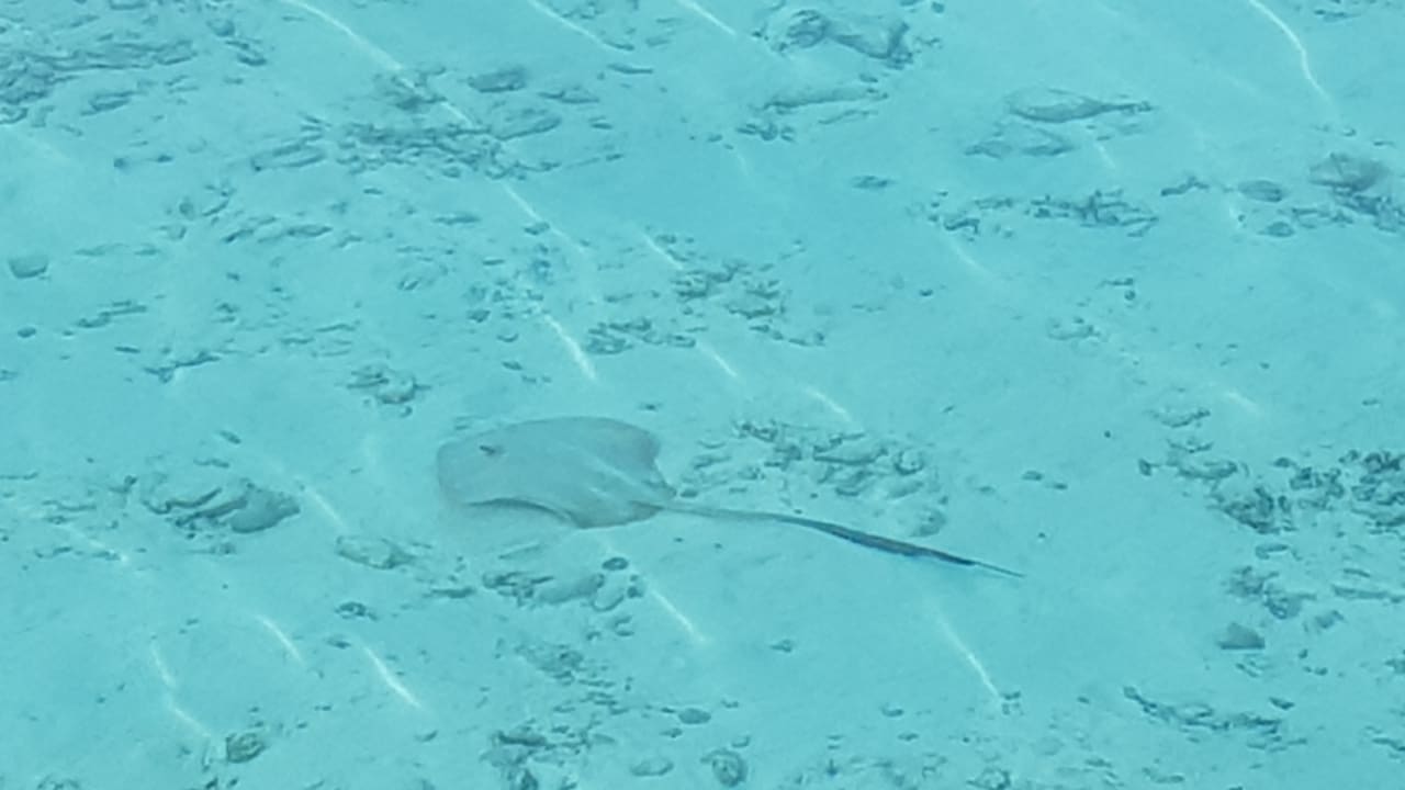 Strand Safari Island Maldives