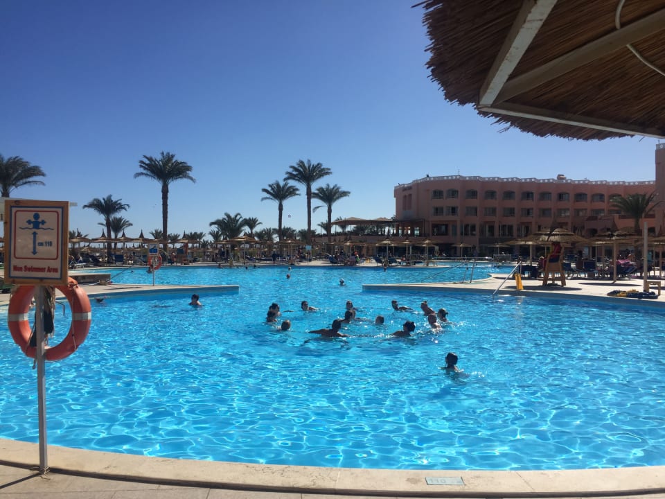 Pool Beach Albatros Resort