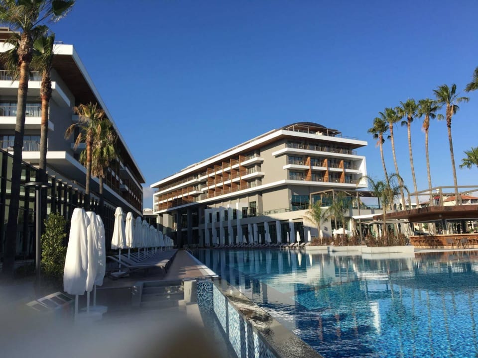 Pool Acanthus Cennet Barut Collection