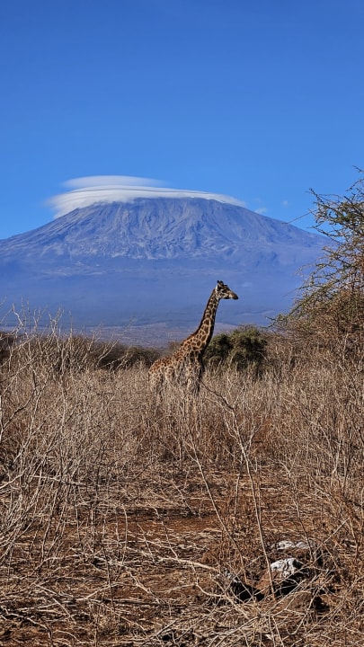 Ausblick Hotel Amboseli Sopa Lodge