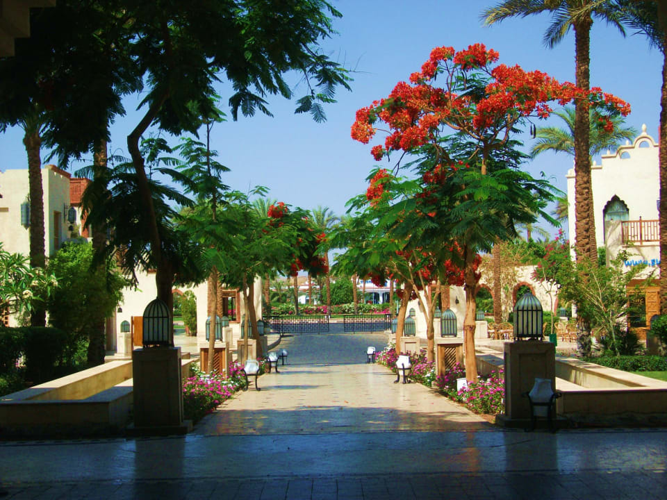 Hoteleingang The Grand Hotel Sharm El Sheikh