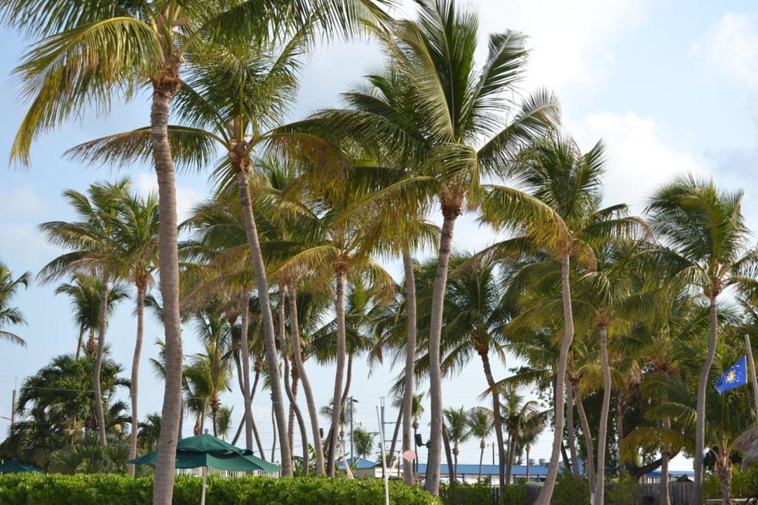 Hotel Hotel Chesapeake Resort