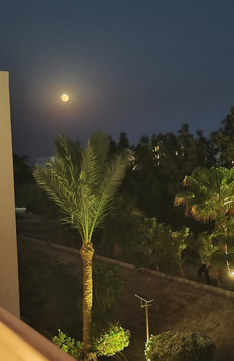 Ausblick Three Corners Sea Beach Resort