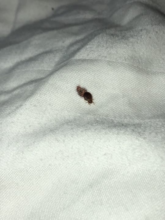 Zimmer Royal Plaza Hotel Amsterdam