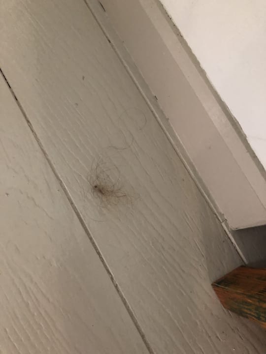 Zimmer Kihaa Maldives