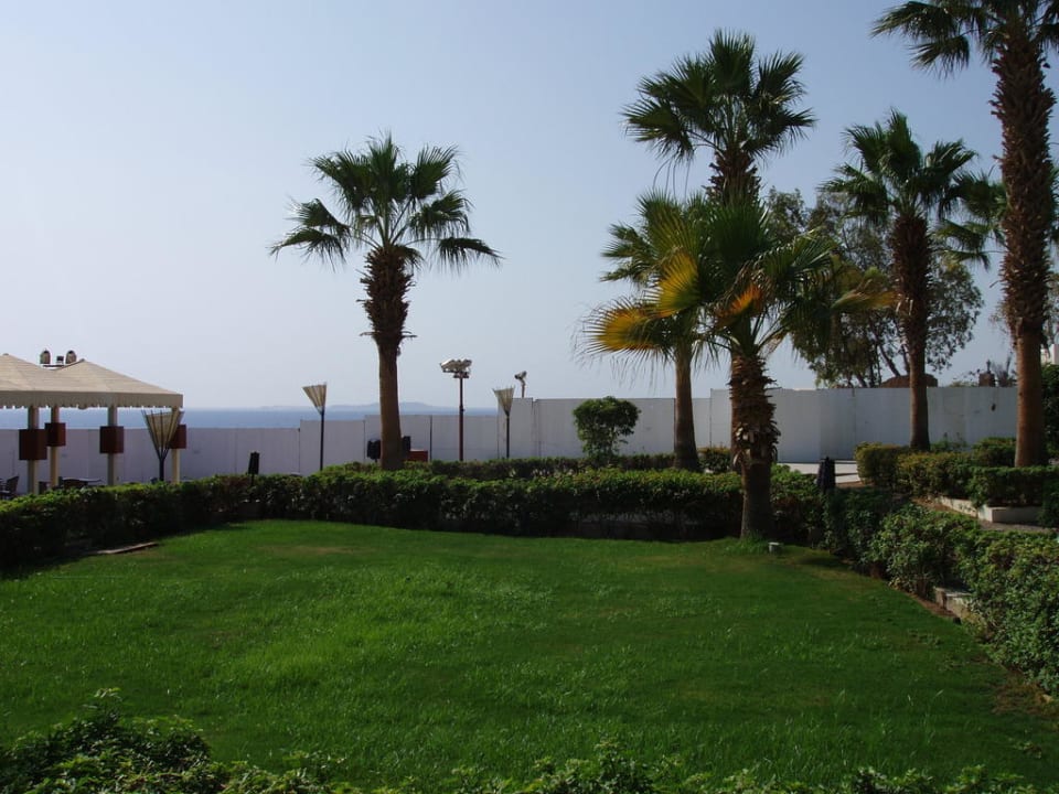 Zimmer 325 - Gartenansicht Reef Oasis Beach Resort