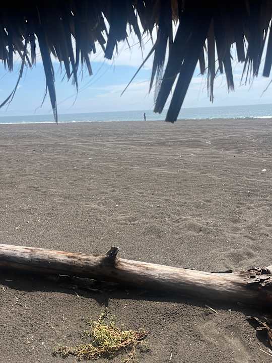 Strand Hotel Pez de Oro