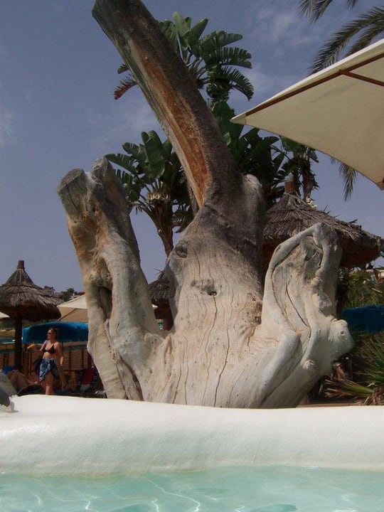 Die Gestaltung der Poolanlage ist wirklich TOP Corallium Beach by Lopesan Hotels - Adults only