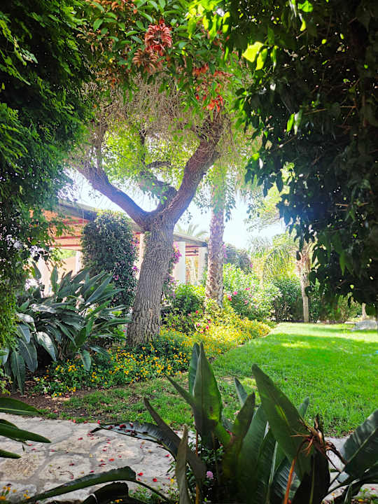 Gartenanlage ROBINSON QUINTA DA RIA