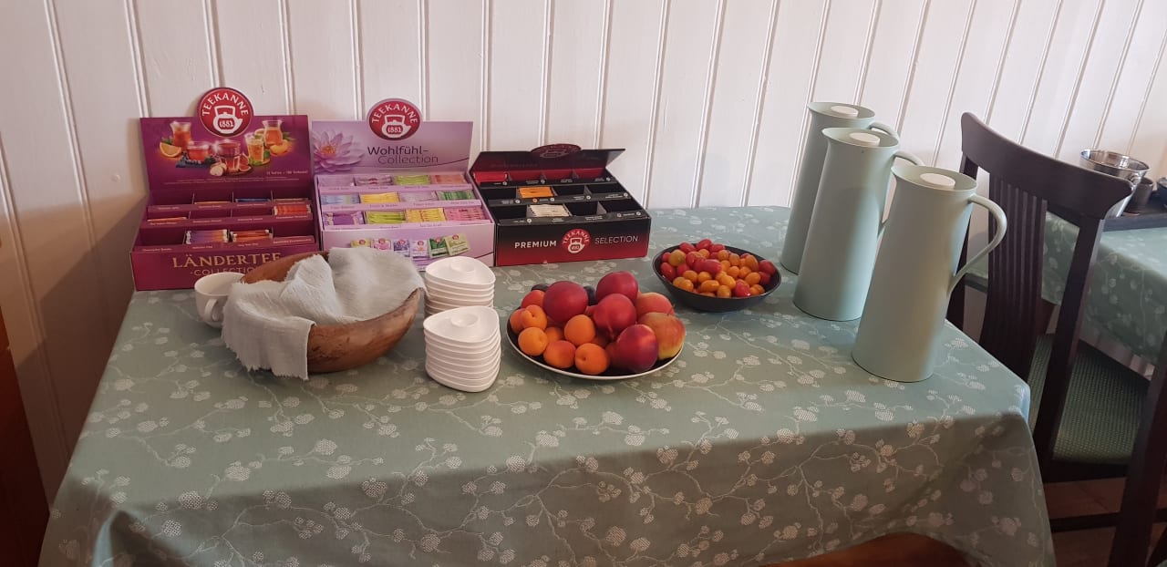 Gastro Hotel Zur Traube