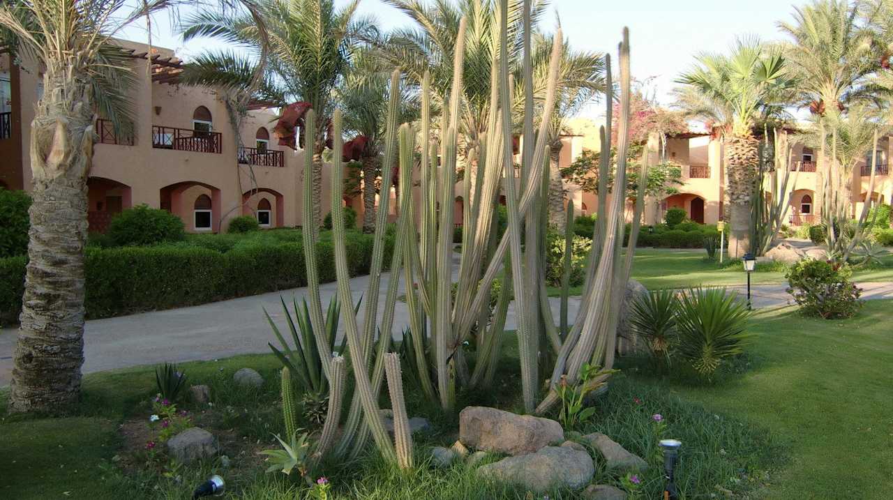 Gartenanlage / Unterbringung Iberotel Makadi Beach