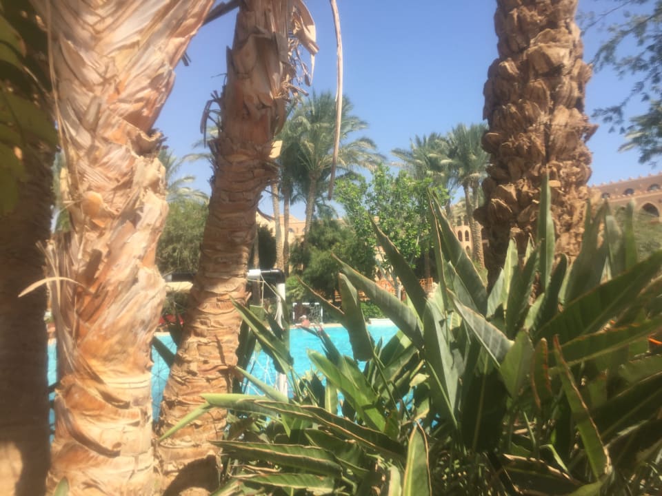 Pool Makadi Palace