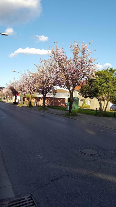 Aussenansicht auf die Hauptstrasse Mein Domizil Hotel
