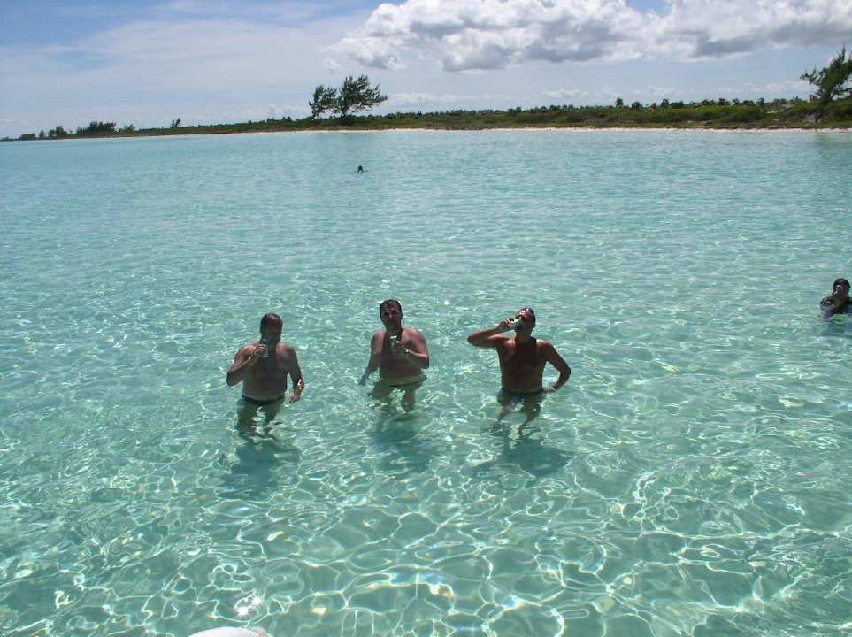 Kaltes Bier im kristallklaren warmen Wasser, Vorbereitung au Hotel Vigía Cayo Guillermo