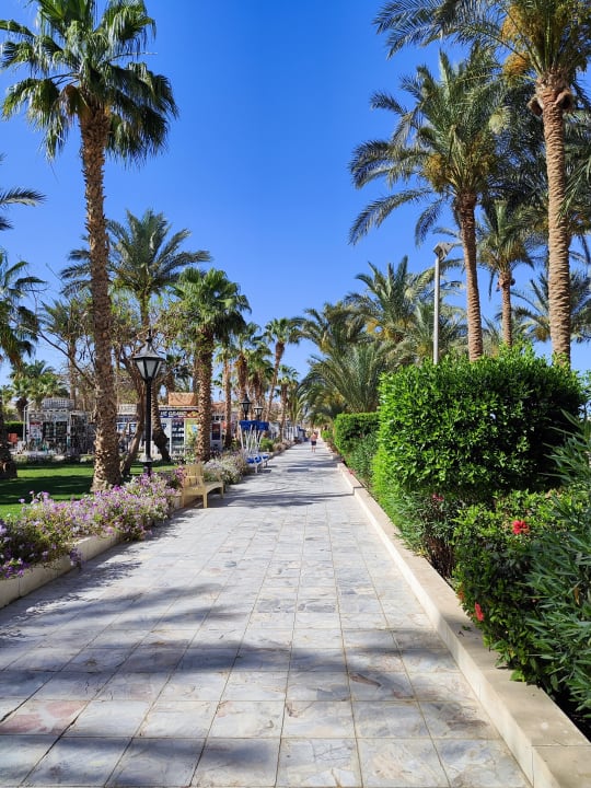Gartenanlage The Grand Hotel Hurghada