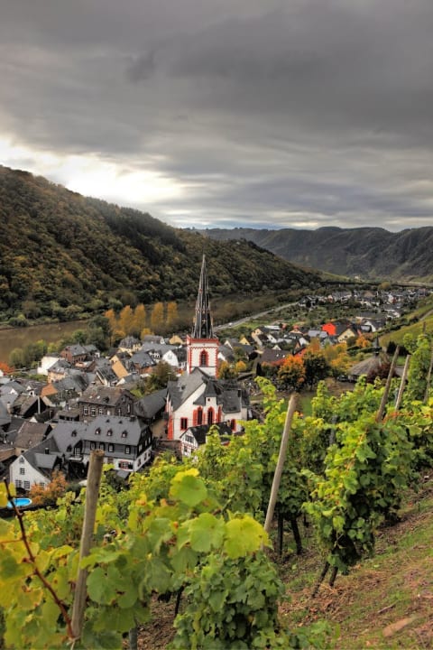 Außenansicht Ferienwohnungen Springiersbacher Hof