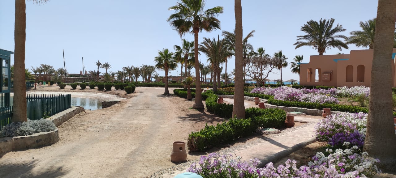 Außenansicht Club Paradisio El Gouna, Red Sea